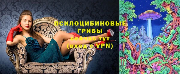 сатива Абаза