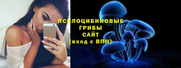 сатива Абаза