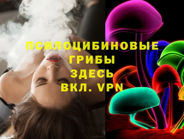 сатива Абаза
