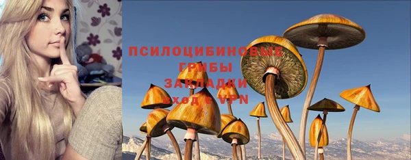 соль ск Абинск