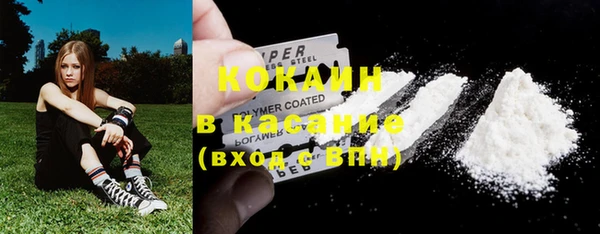 сатива Абаза