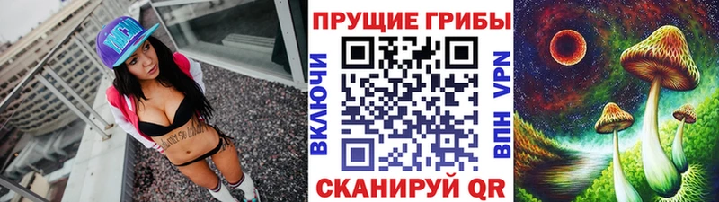 сколько стоит  Кирс  Галлюциногенные грибы мухоморы 